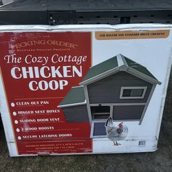 Chicken Coop