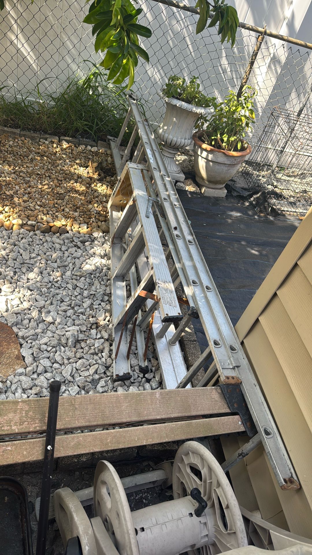 Ladders 16in 