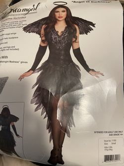 Angel Of Darkness Costume 
