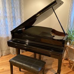 Baby Grand Piano
