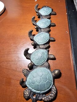 turtle hooks