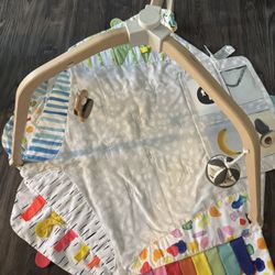 Lovevery the play gym