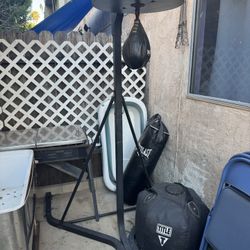 Everlast Stand With Heavy Bag And Wrecking Ball 