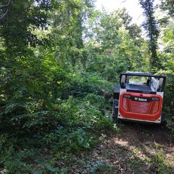 Land Clearing/ Brush Cutting/Skid Steer 