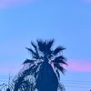 L.A.