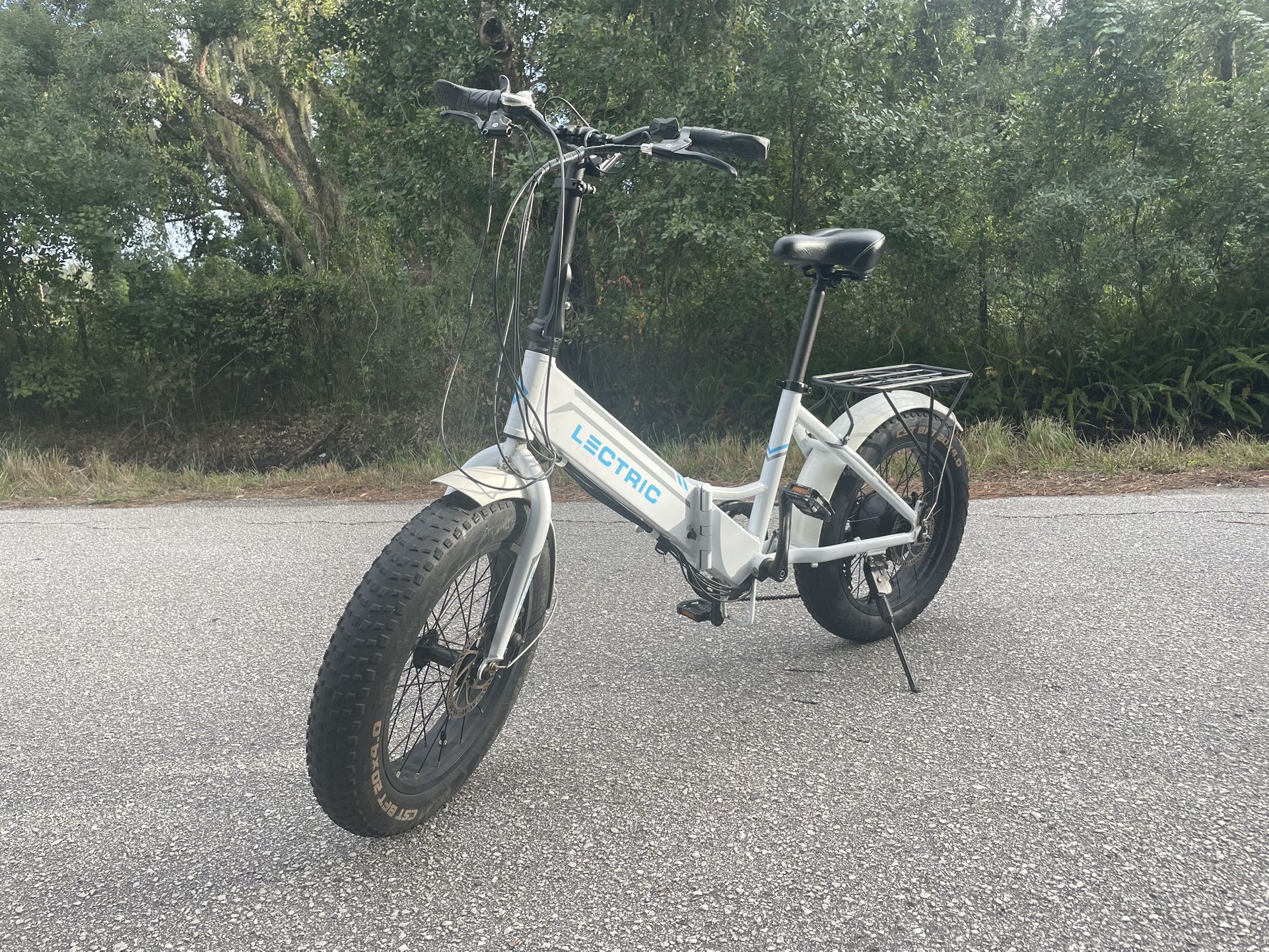 LECTRIC XP 1.0
