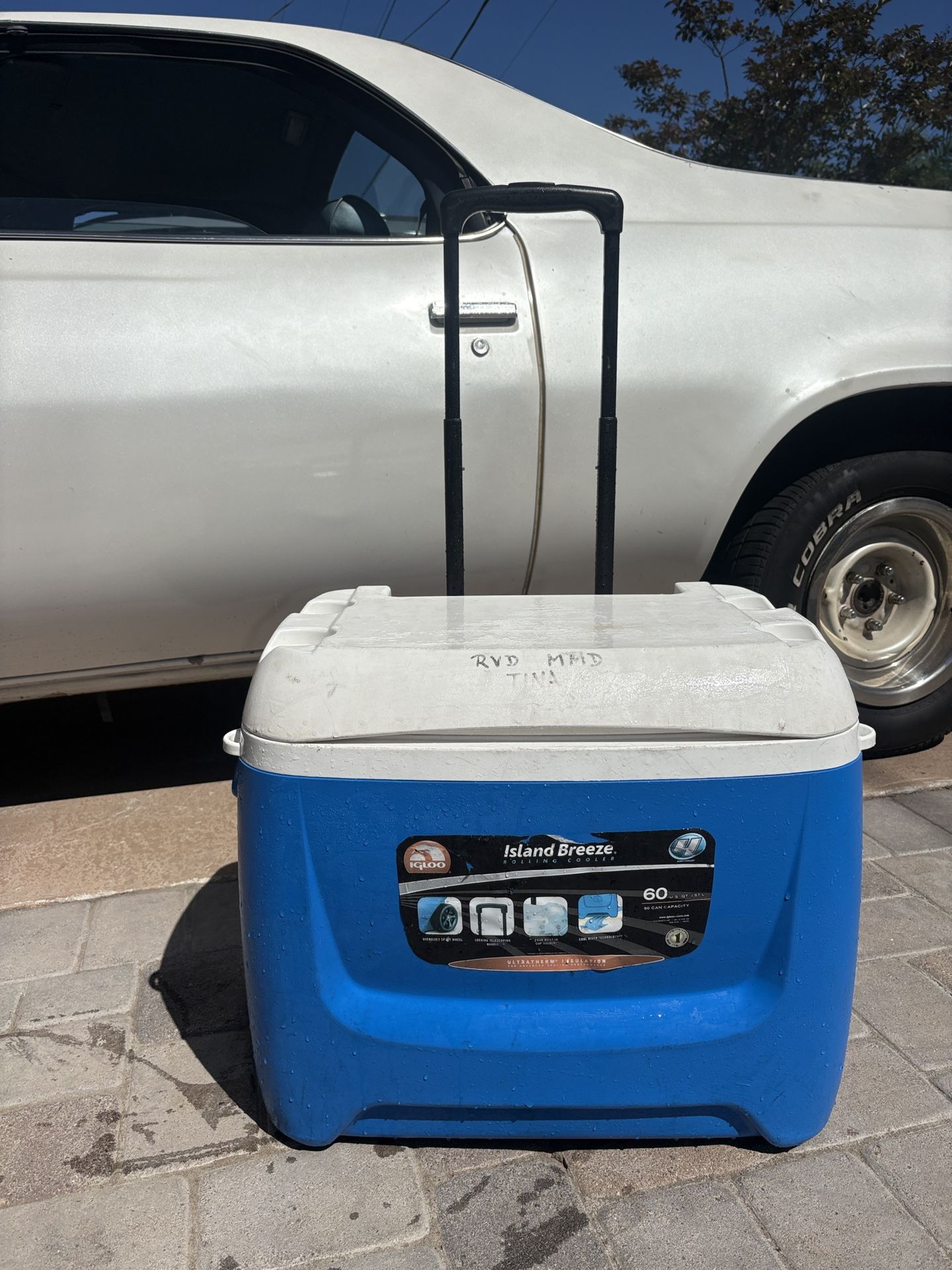 camping Cooler Everything Works