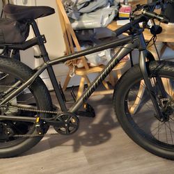 NEW FAT TIRE BIKE 