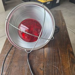 Heat Lamp For Baby Chicks 