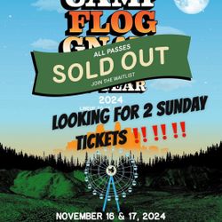 Camp Flog Gnaw Sunday