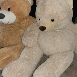 Bears
