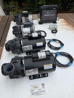 Spa pumps and motors