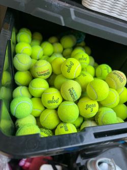 50 tennis balls in great shape
