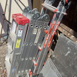 Little Giant Folding Ladder