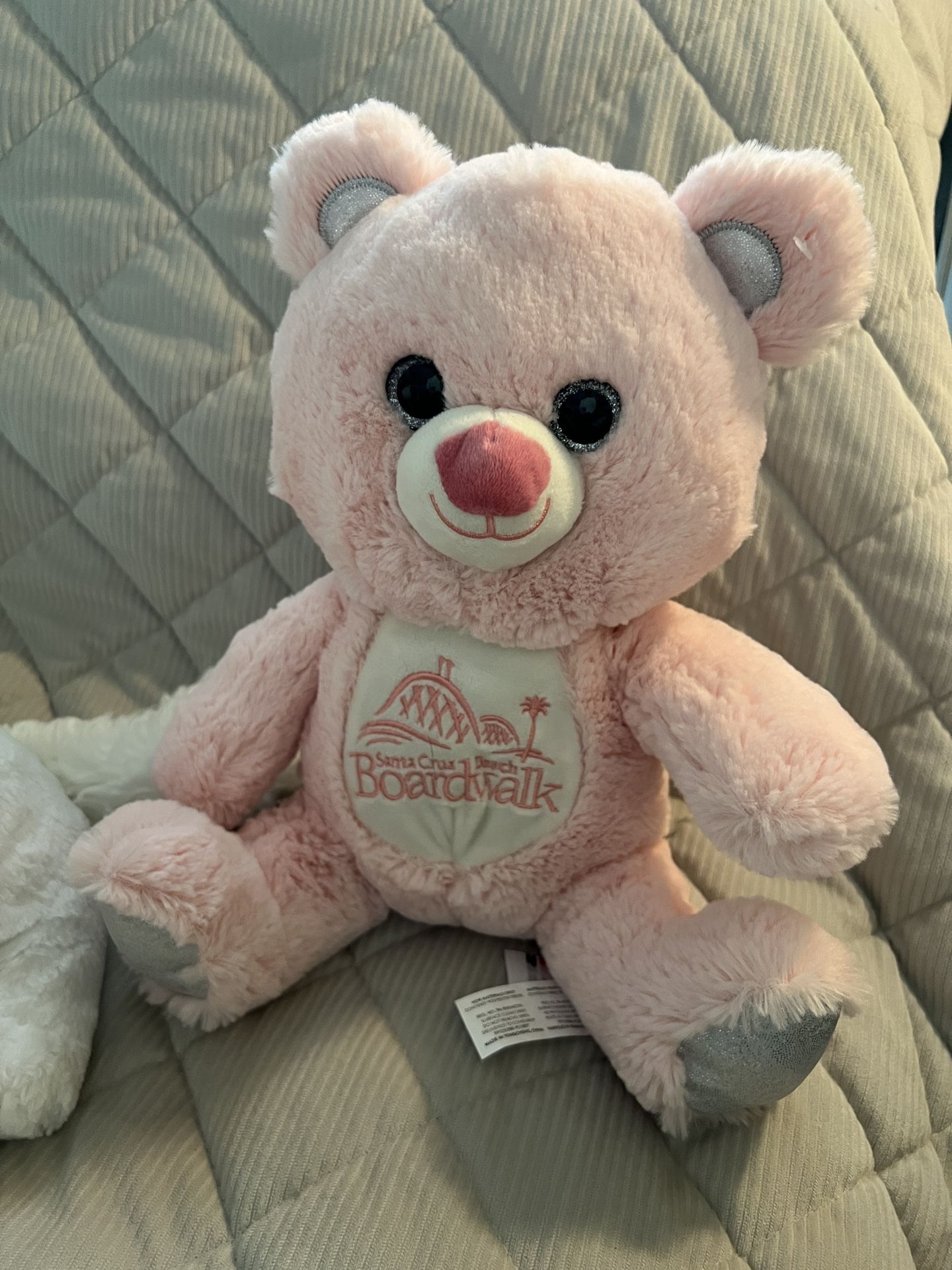 Santa Cruz Teddy Bear