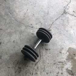 Weights 