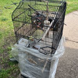 Bird Cage Cockatiel 