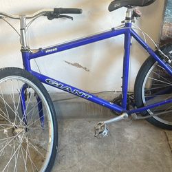 Giant Rincon Bike