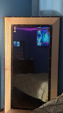 Snake mirror