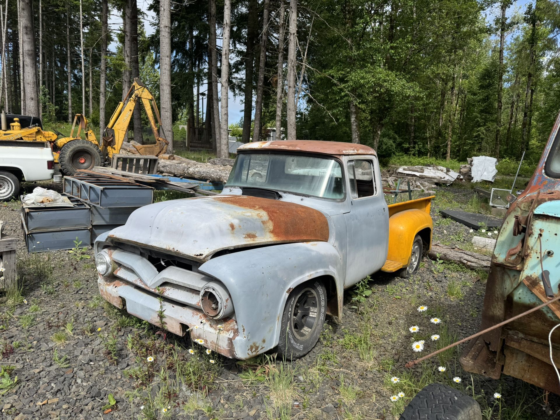 1956 Ford F