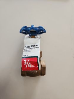 Brass Gate Valve 3/4"