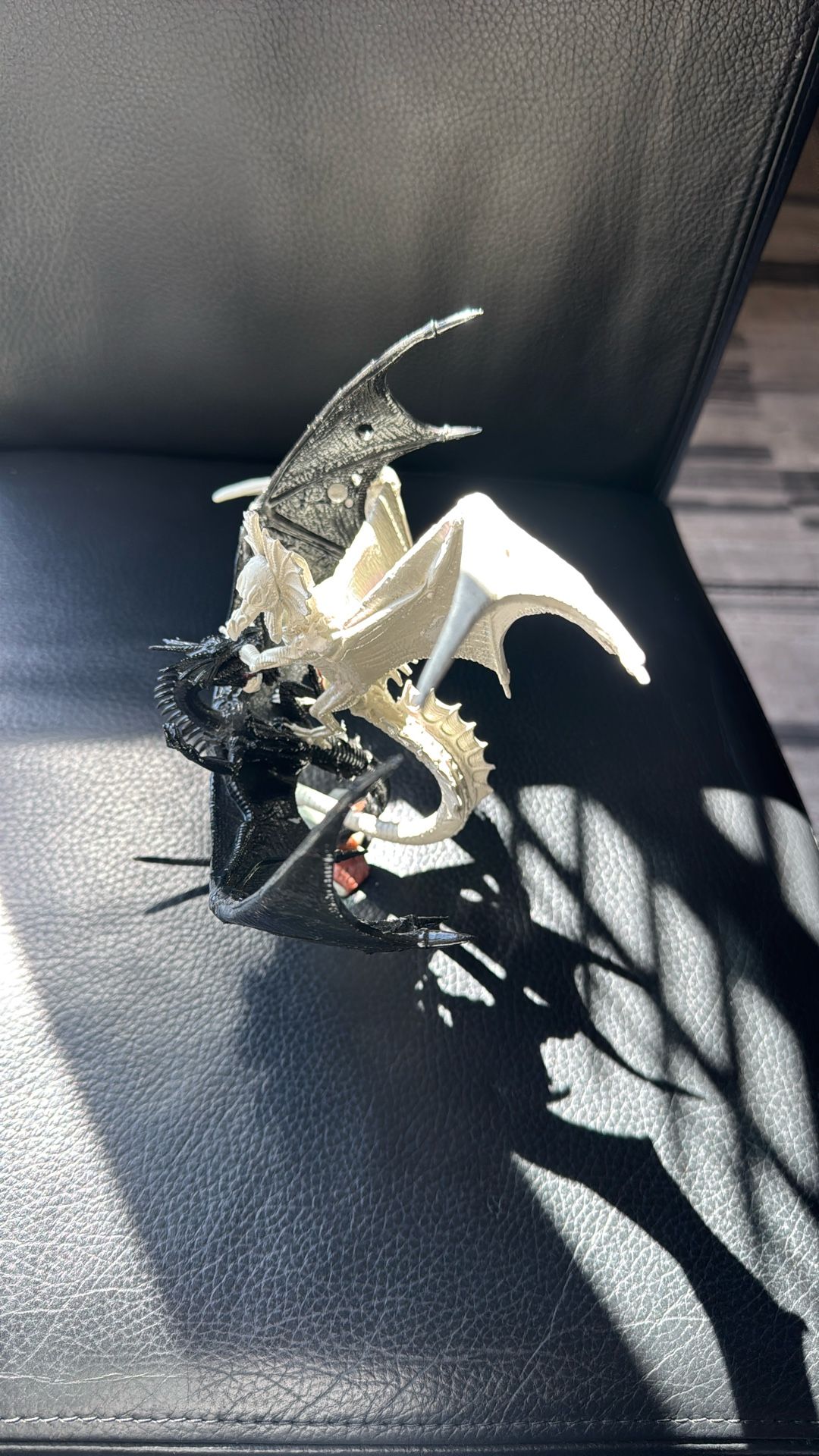 1993 The Conflicted Dragón Fight By D. Summers