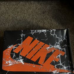 Jordan 1  high shattered backboard size 11