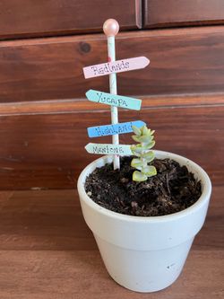 Tiny signs for fairy gardens