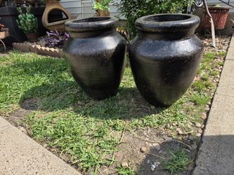 Trompo Pots