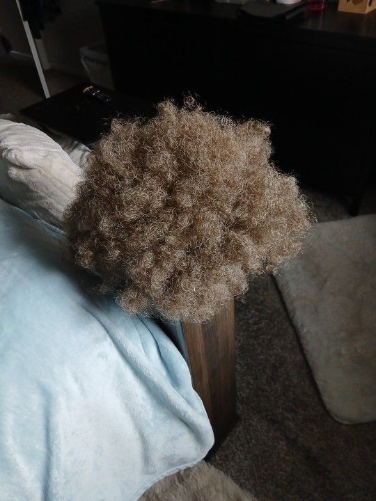 Dirty Blonde Afro Wig