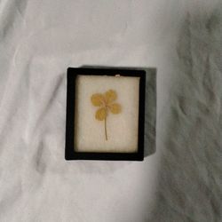A 4 Leaf Clover