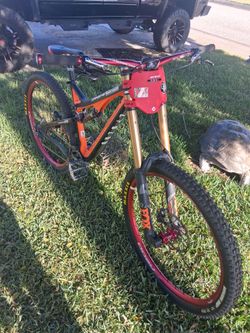 Intense carbon frame medium 29r