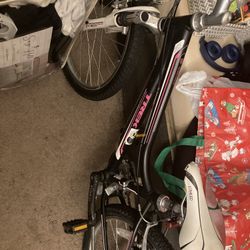 Youth 220 Trek Mt Bike