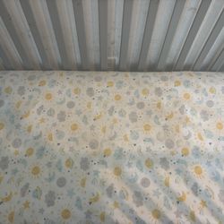 Baby Crib & Play Pin