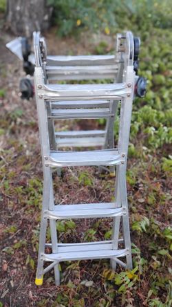 Gorilla ladder