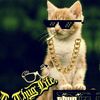 Fredy