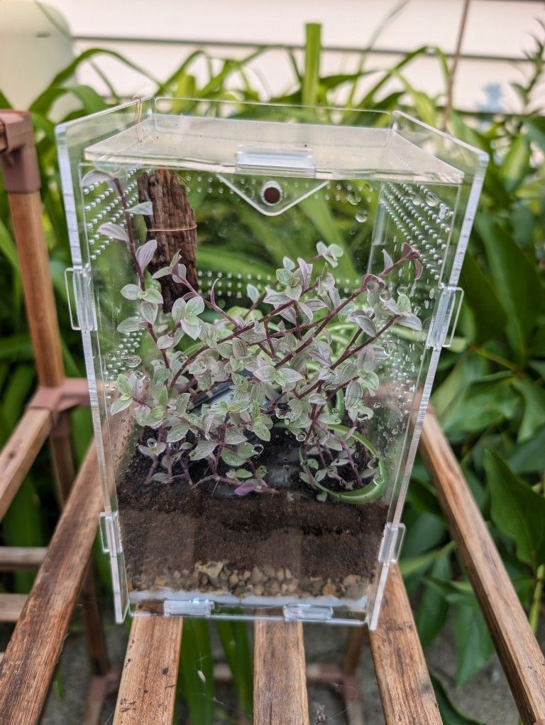 Terrarium