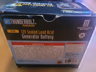Thunderbolt Magnum 12V AGM generator battery 160 CCA sealed lead acid ATV mower 62586