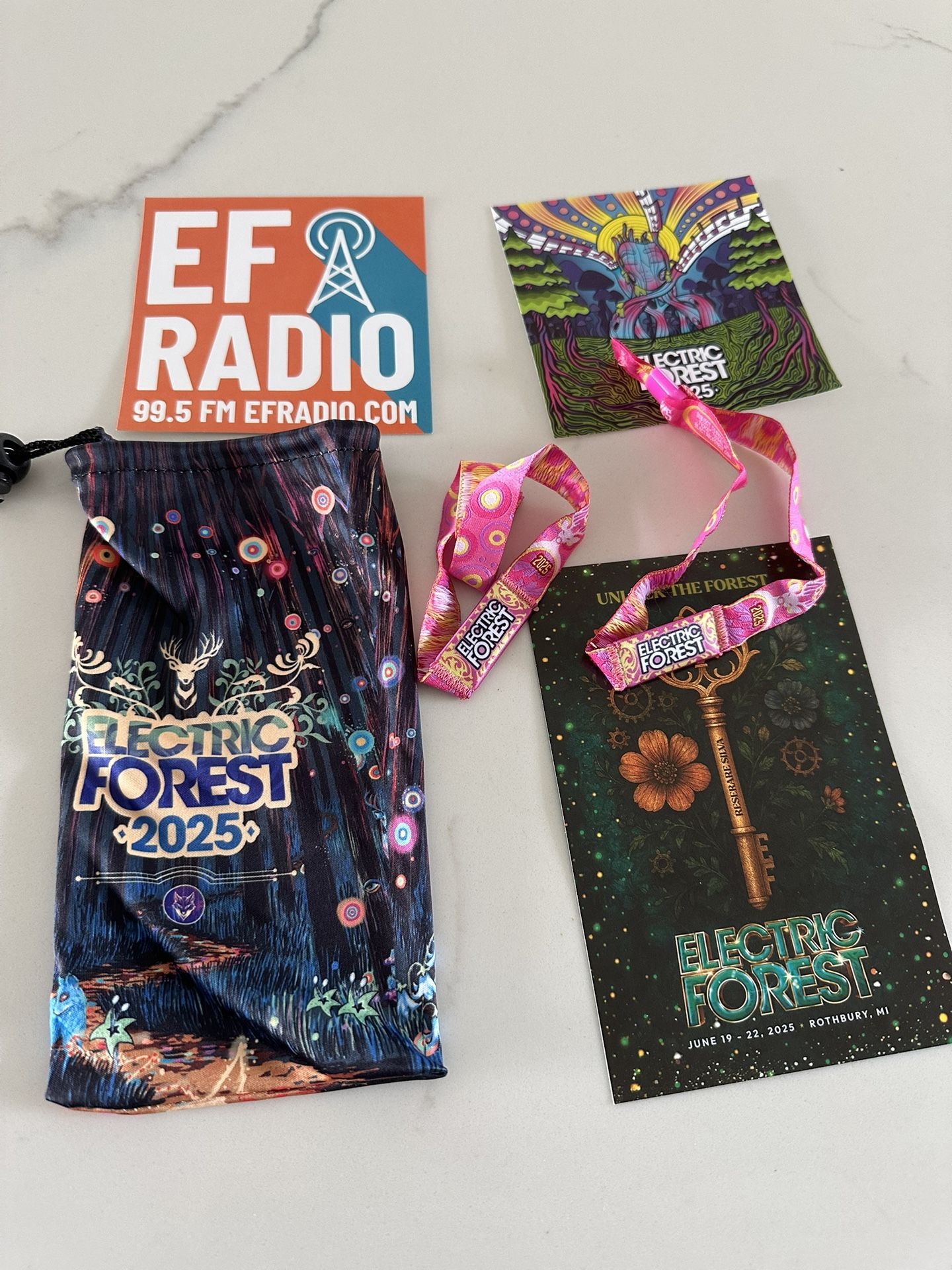 Electric Forest Wristbands