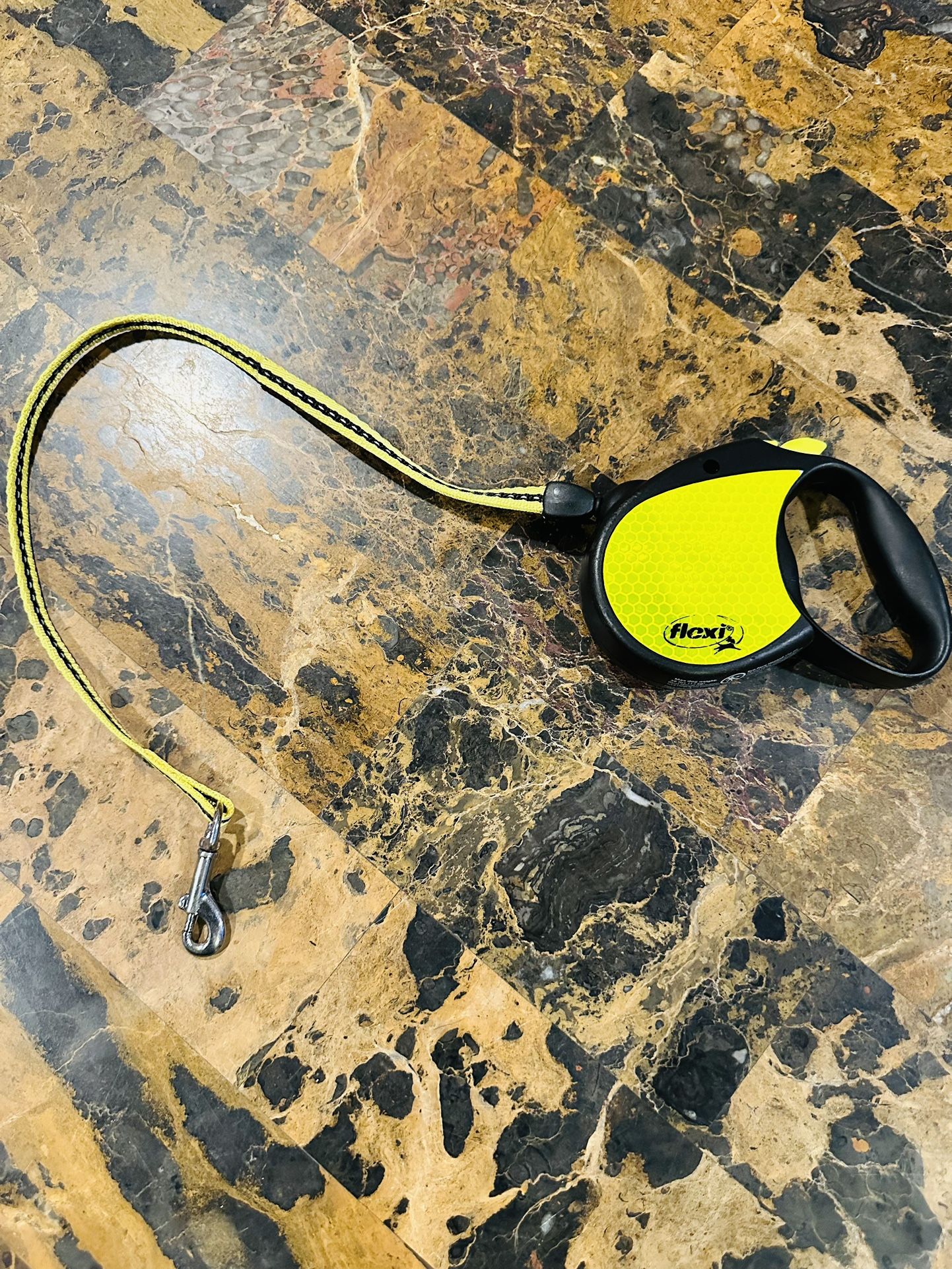 Neón flexi retractable dog leash