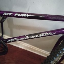 MT. FURY ROADMASTER MOUNTAIN BIKE 