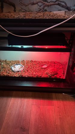 Fish Tank Reptile Terrarium