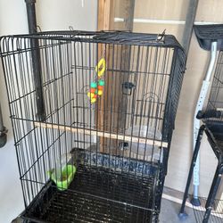 Bird Cage