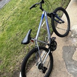Roadmaster bike