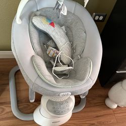 Graco Baby Swing And Rocker 