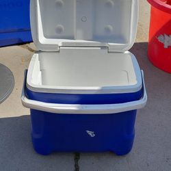 Cooler