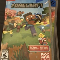 Minecraft Nintendo Switch 
