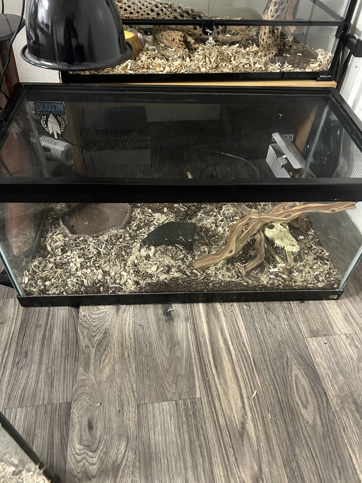 Two Fish Tanks
