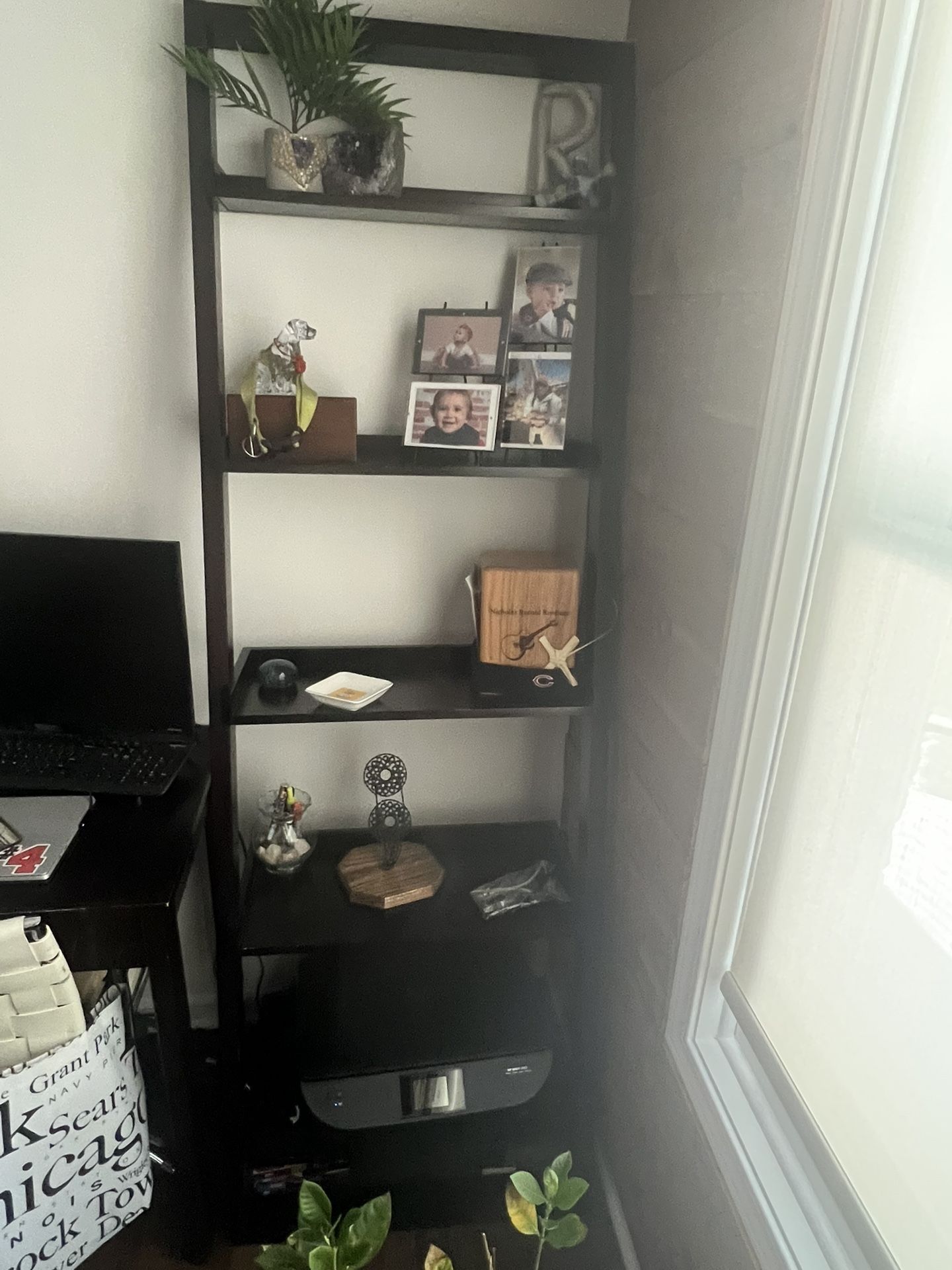 Shelving Ladder 
