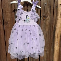 size 4T NEW W TAGS BLUEY DRESS 